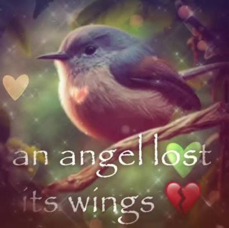 aaminah is going to Cannes tweet media