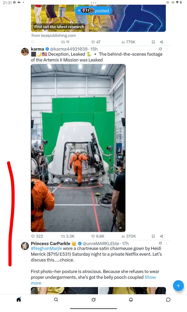 Lady kitty tweet media