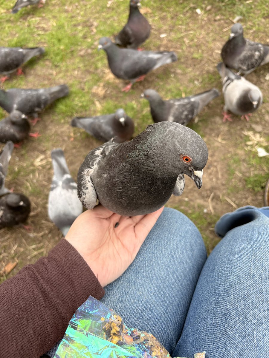 robotbackwards tweet media