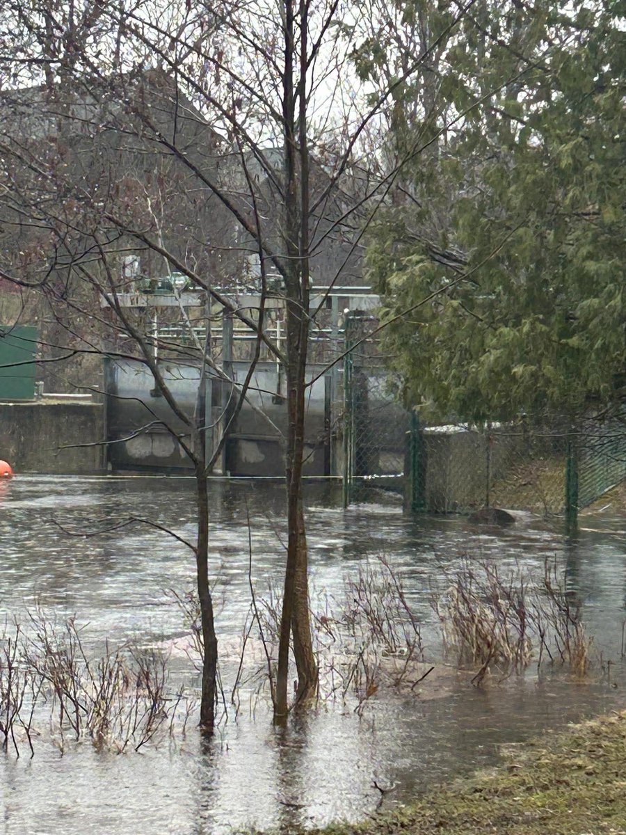 Michigan Storm Chasers tweet media