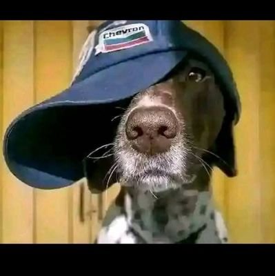 Joel Jirani tweet media