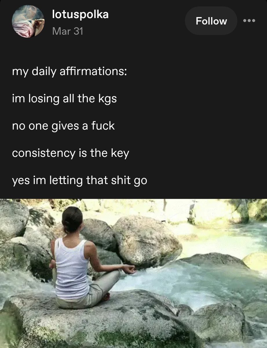 tumblrspo tweet media