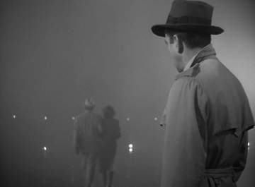 Stephen Gibbons tweet media