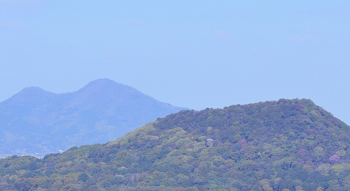 brass_suki117 tweet media