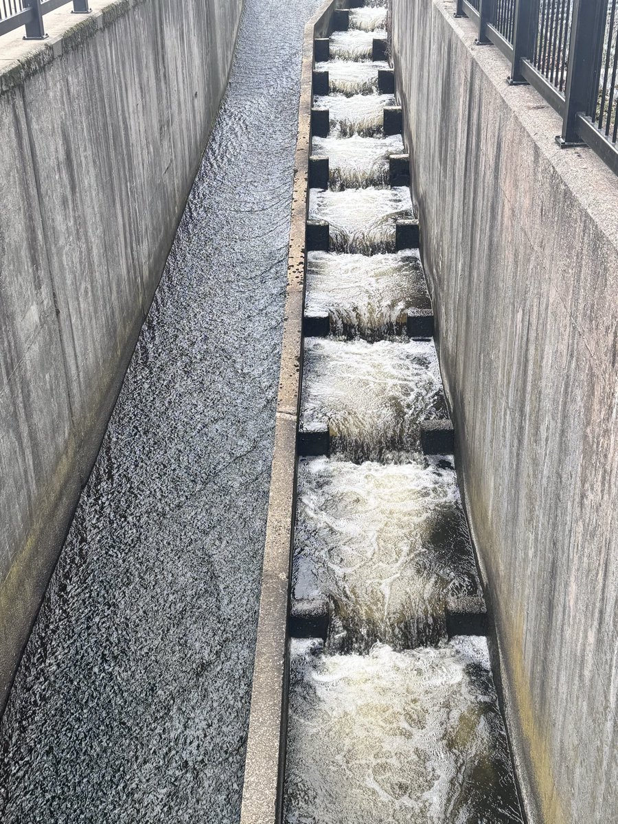 habitual line-stepper tweet media