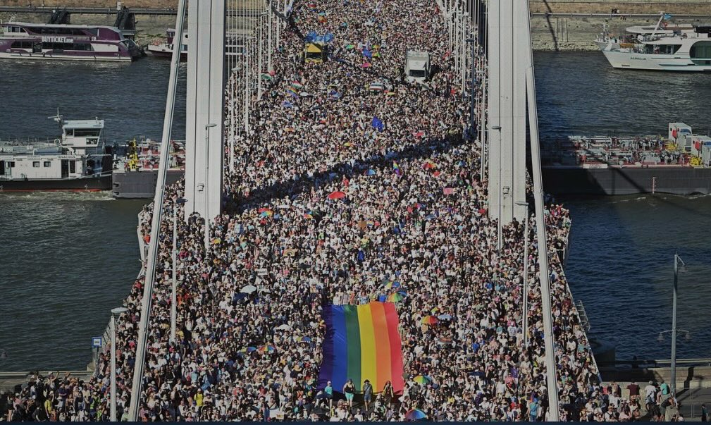 radio__zek 🏳️‍🌈 tweet media