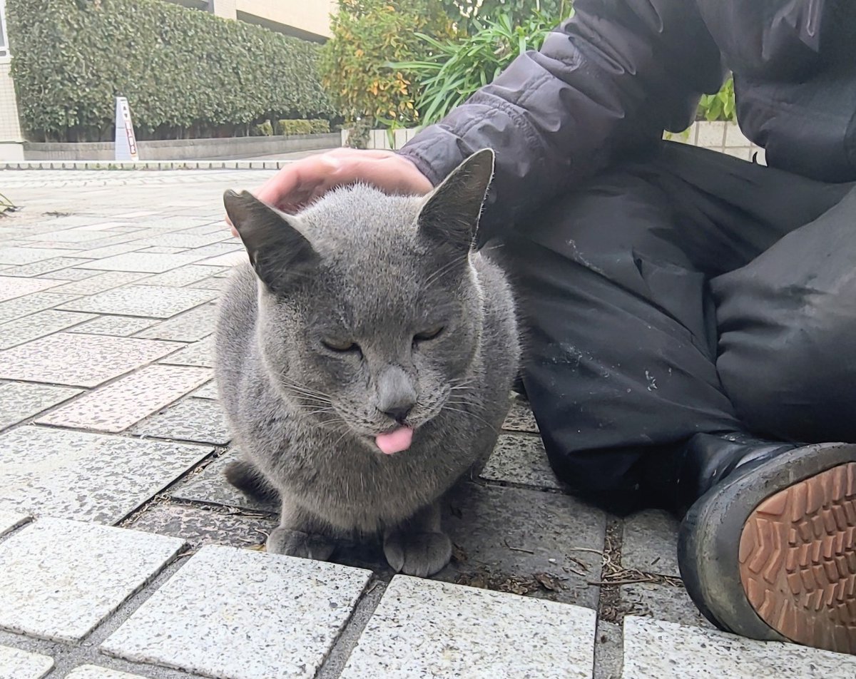 全然余裕やで。全然余裕やけど、もう月曜か……