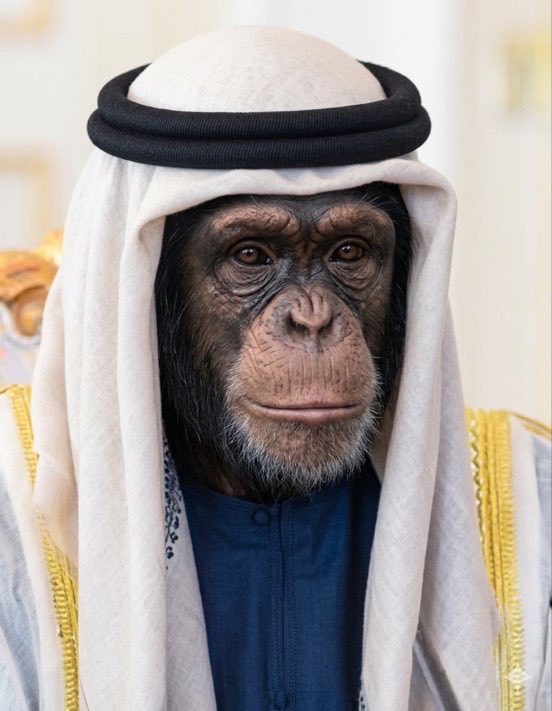 مكافح عصابات المعلاية 🇦🇪🇾🇪 tweet media