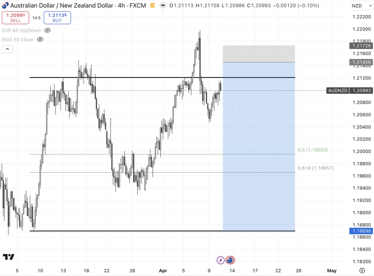 Trader Palms 🌴 tweet media