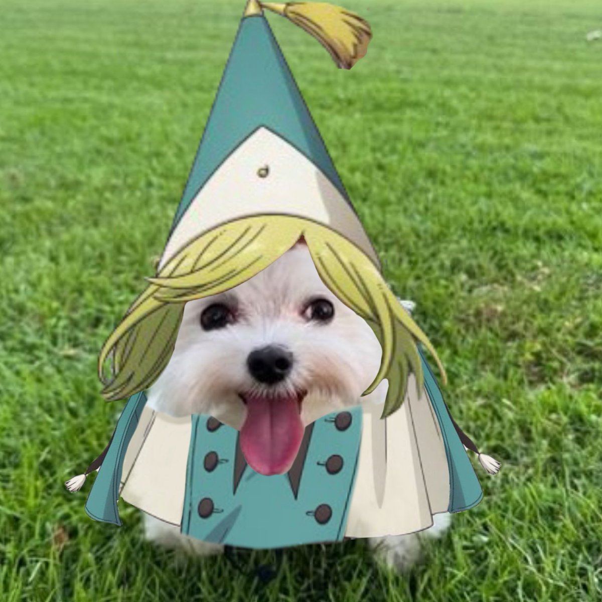 Daily Coco 🥑 tweet media