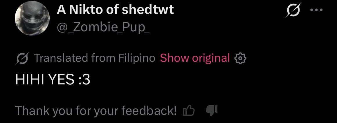 A Nikto of shedtwt tweet media