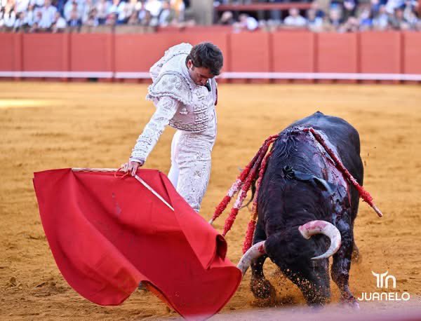 Dimensión Taurina By Tauro Nota tweet media