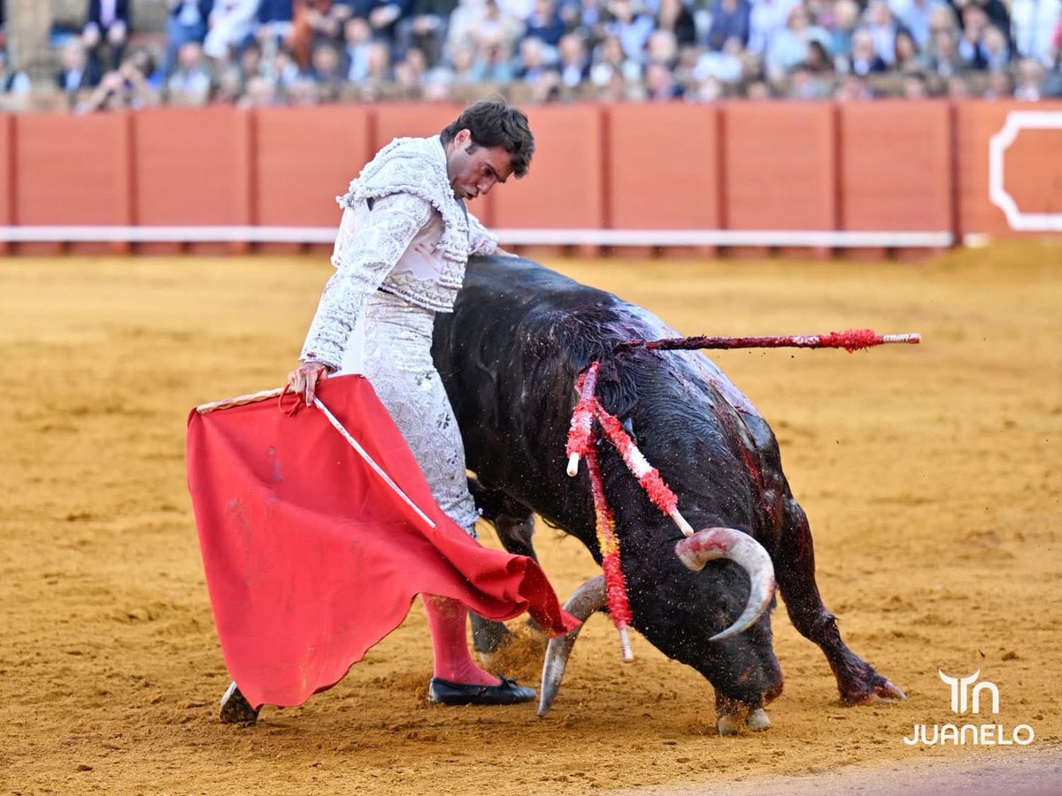 Dimensión Taurina By Tauro Nota tweet media