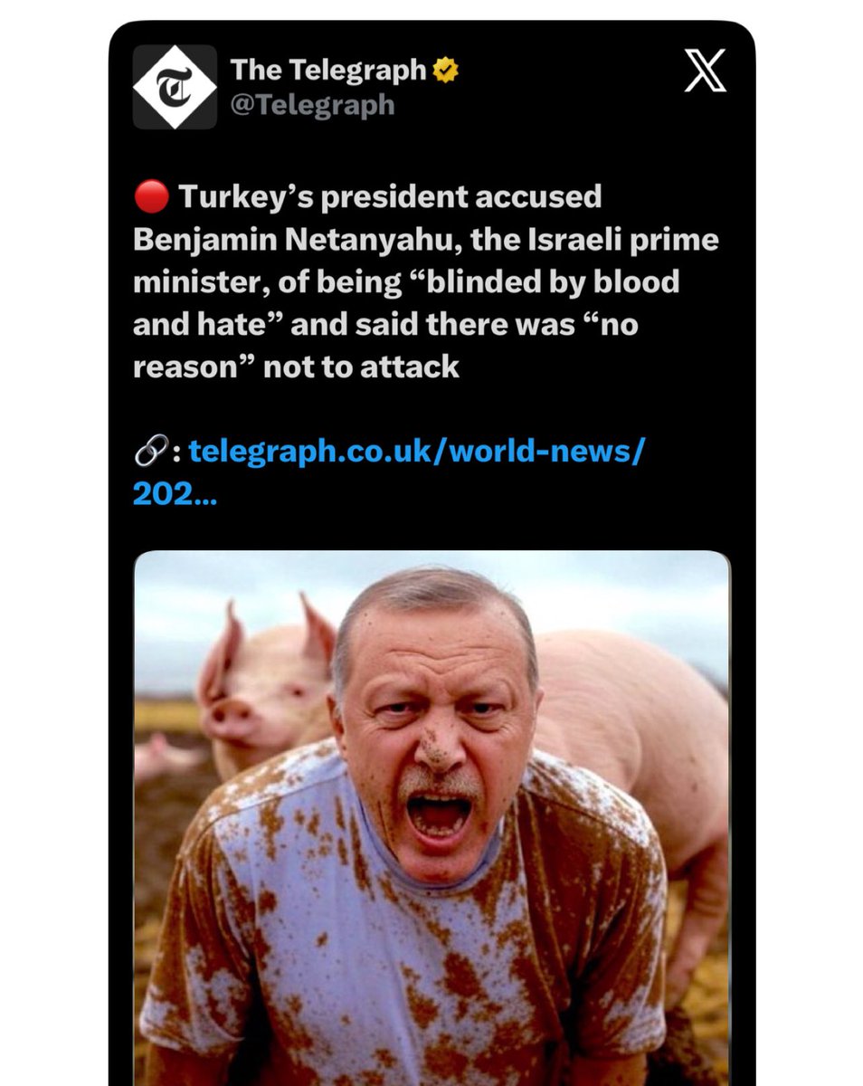 Liza Rosen tweet media