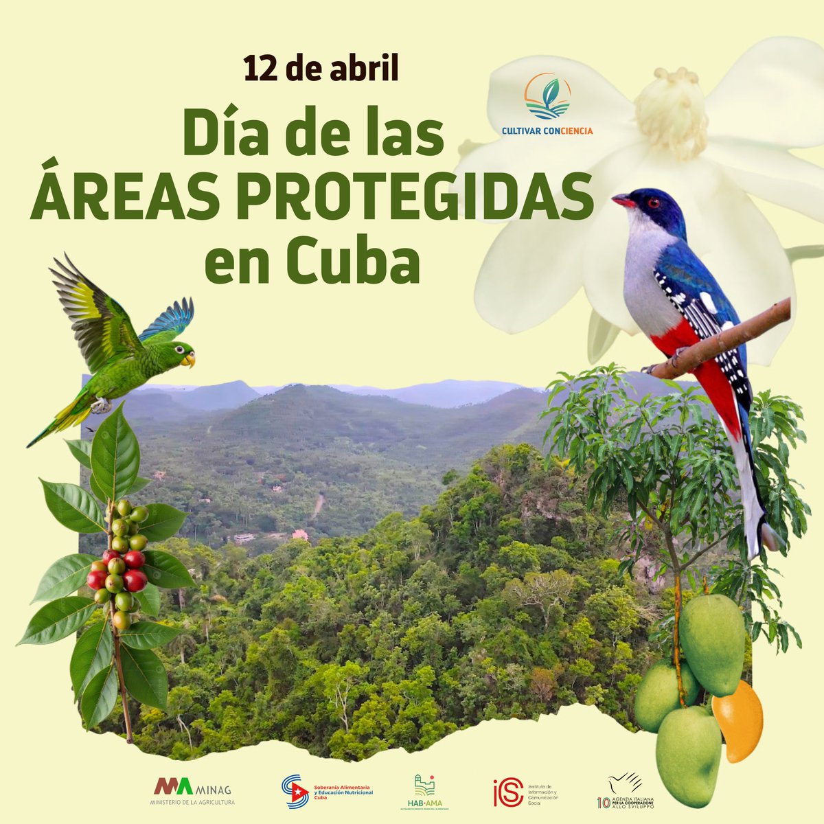 Las áreas protegidas en #Cuba son espacios estratégicos para la conservación de la biodiversidad, la protección de ecosistemas únicos y el resguardo de recursos vitales para el desarrollo sostenible.🌱🌺🦋

#CultivarConciencia
