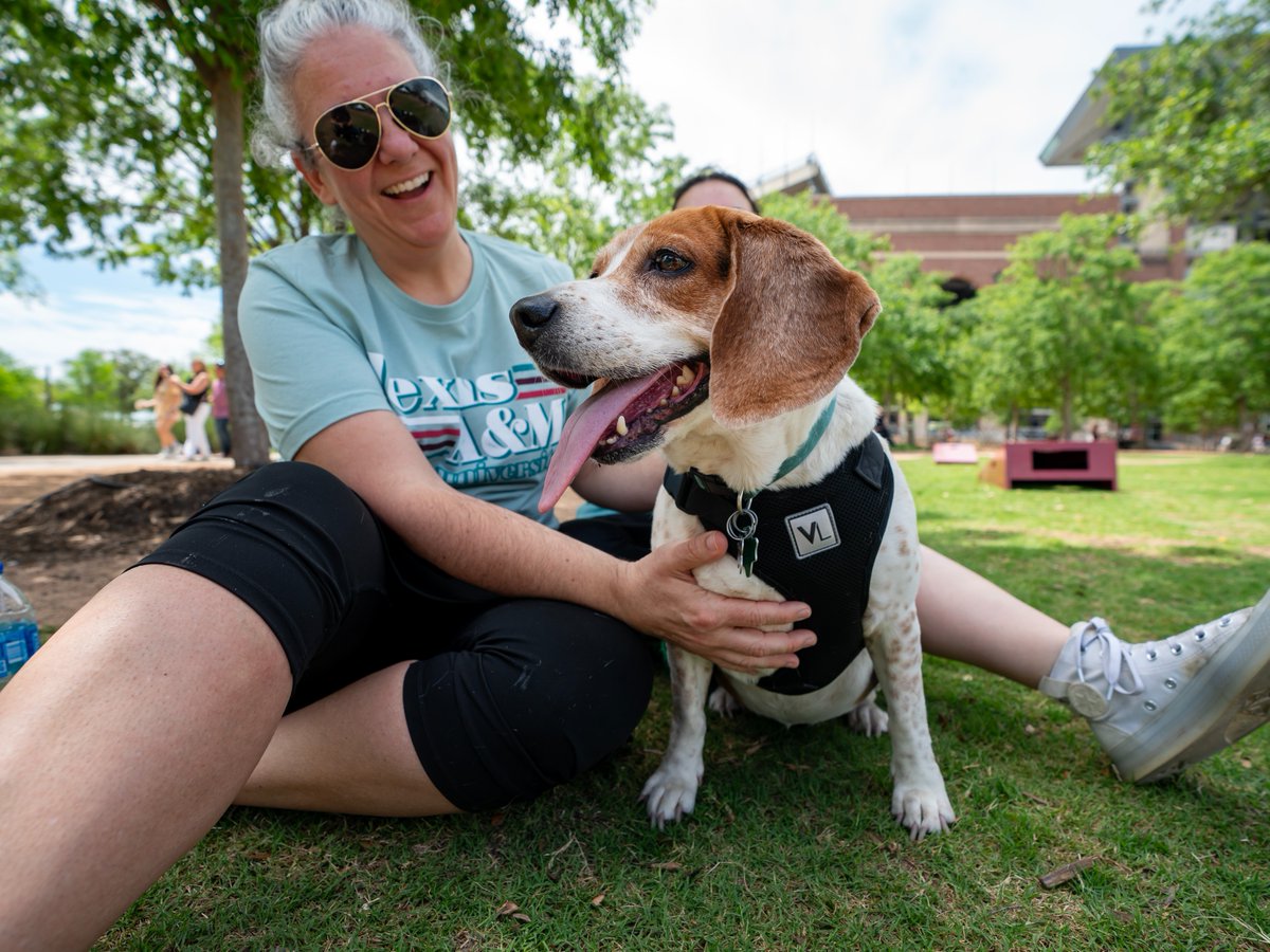 TAMU's tweet image. New research reveals how deeply families feel the loss of a dog. 🐾

@tamuvetmed and @DogAgingProject uncovered emotional patterns that could shape future conversations in veterinary care.

🔗: tx.ag/1SV2KJS

#TAMU #AggieResearch #TAMUScience