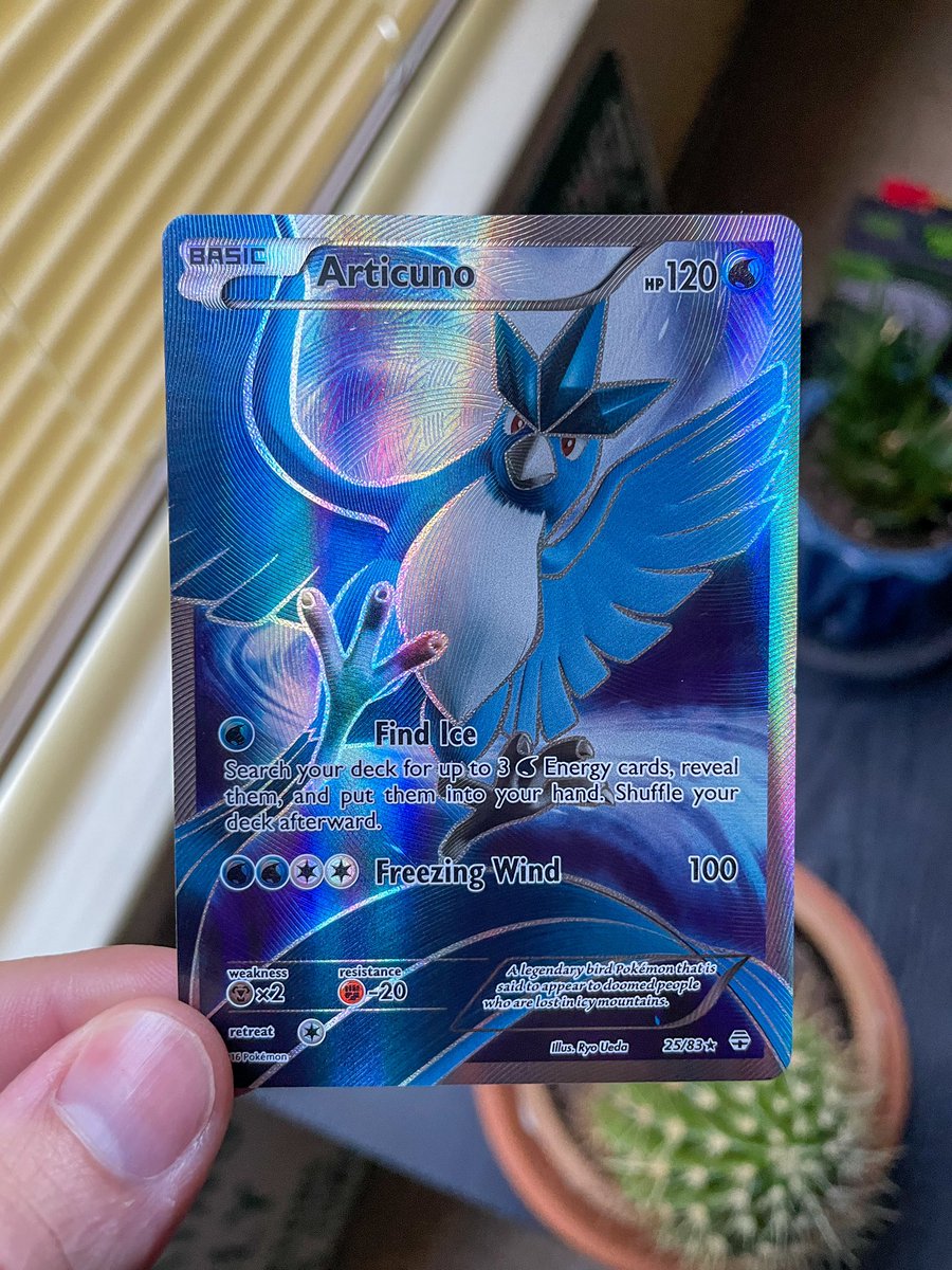 PokéCardsDaily tweet media