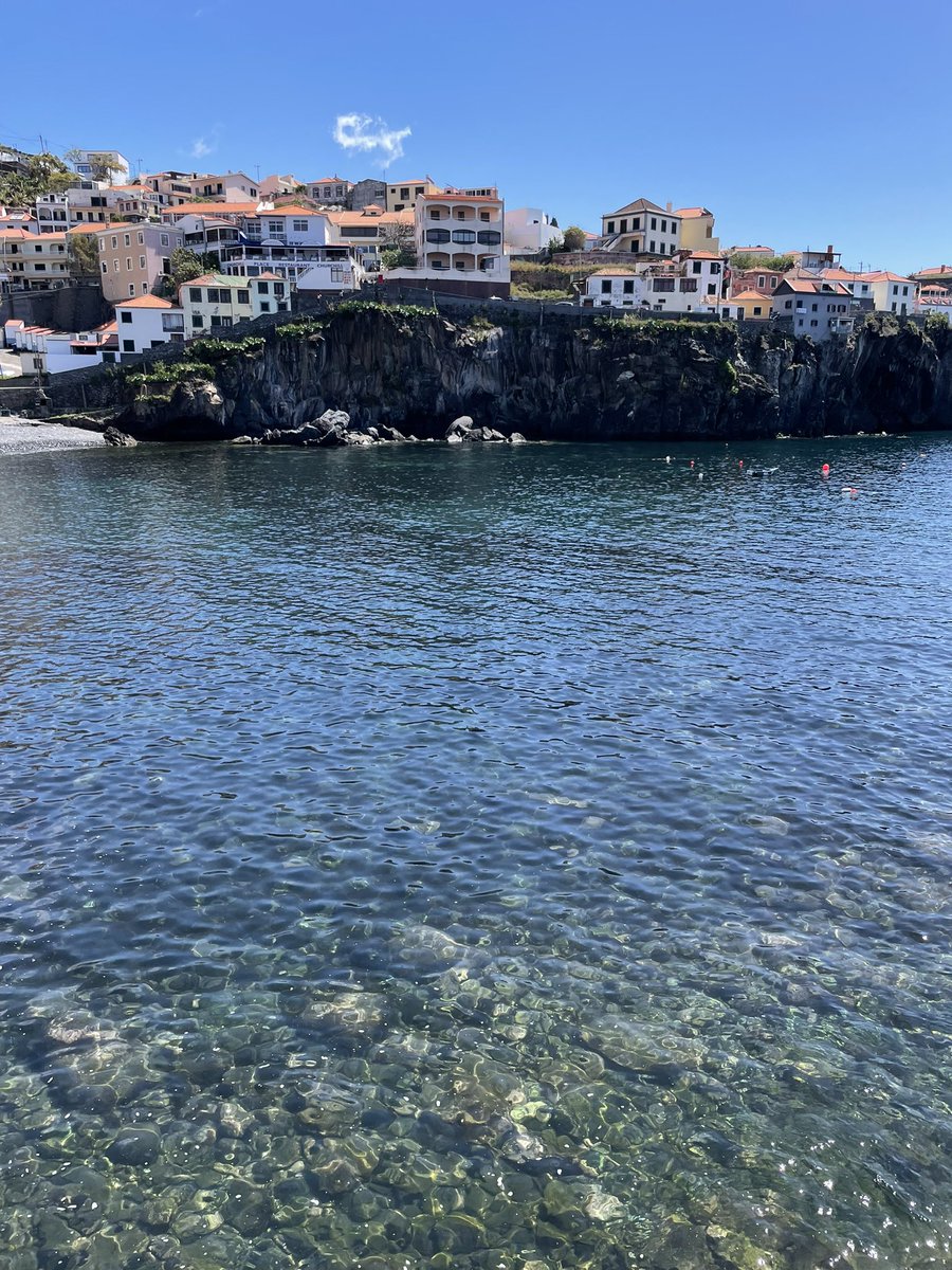 Anastvs🦋 tweet media