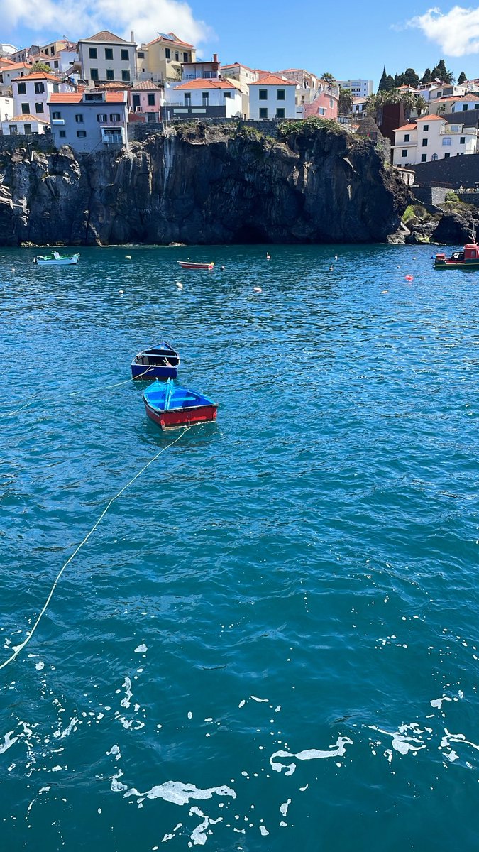 Anastvs🦋 tweet media