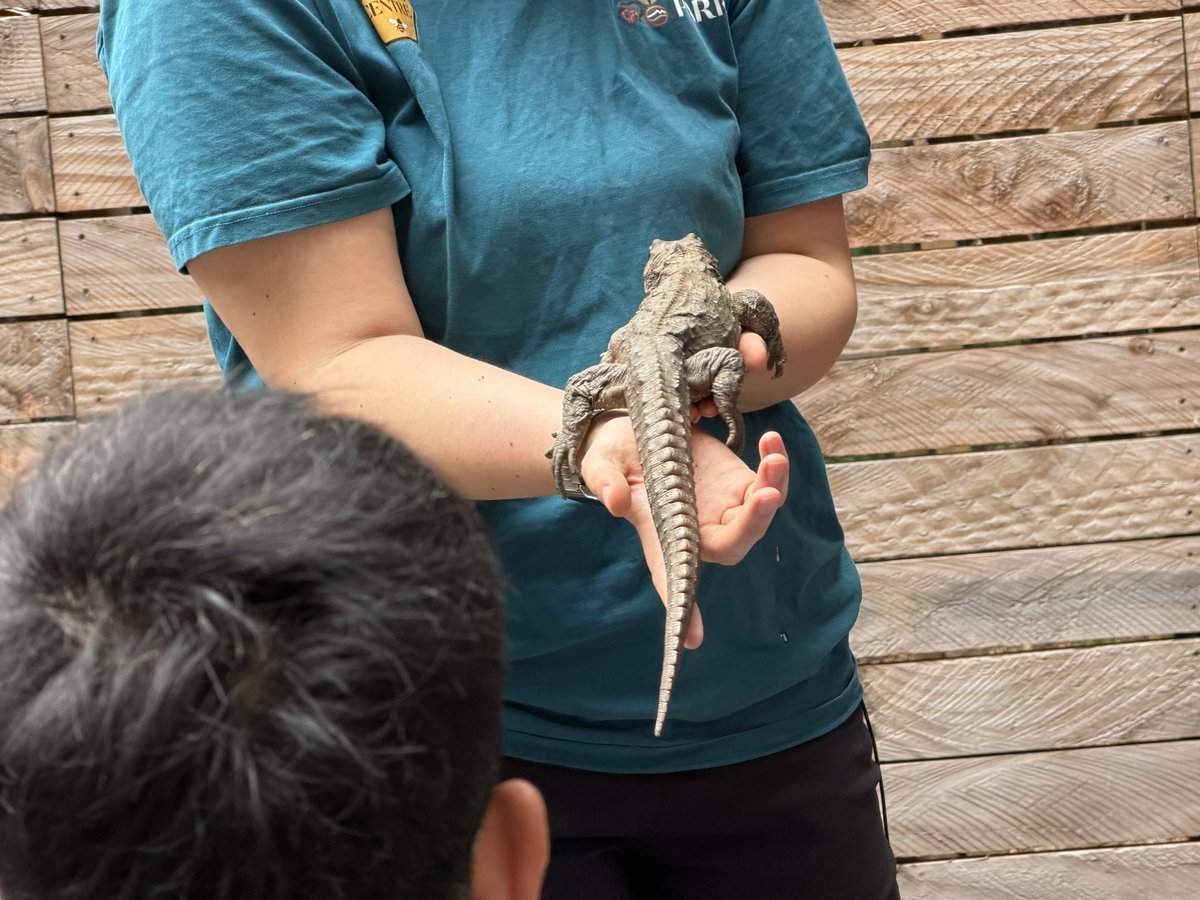 つぼみん旅行記 tweet media