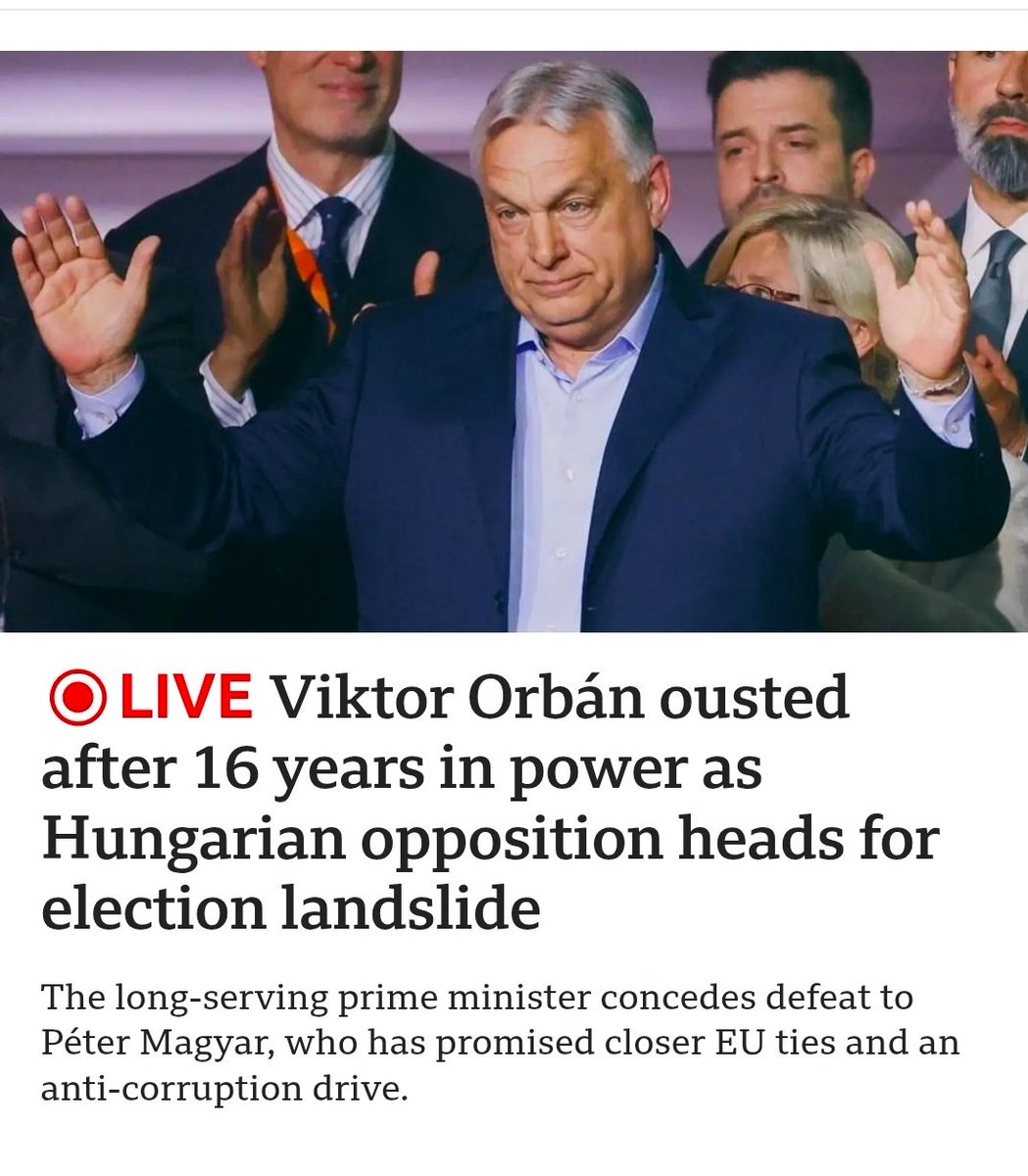 Kurmitis tweet media