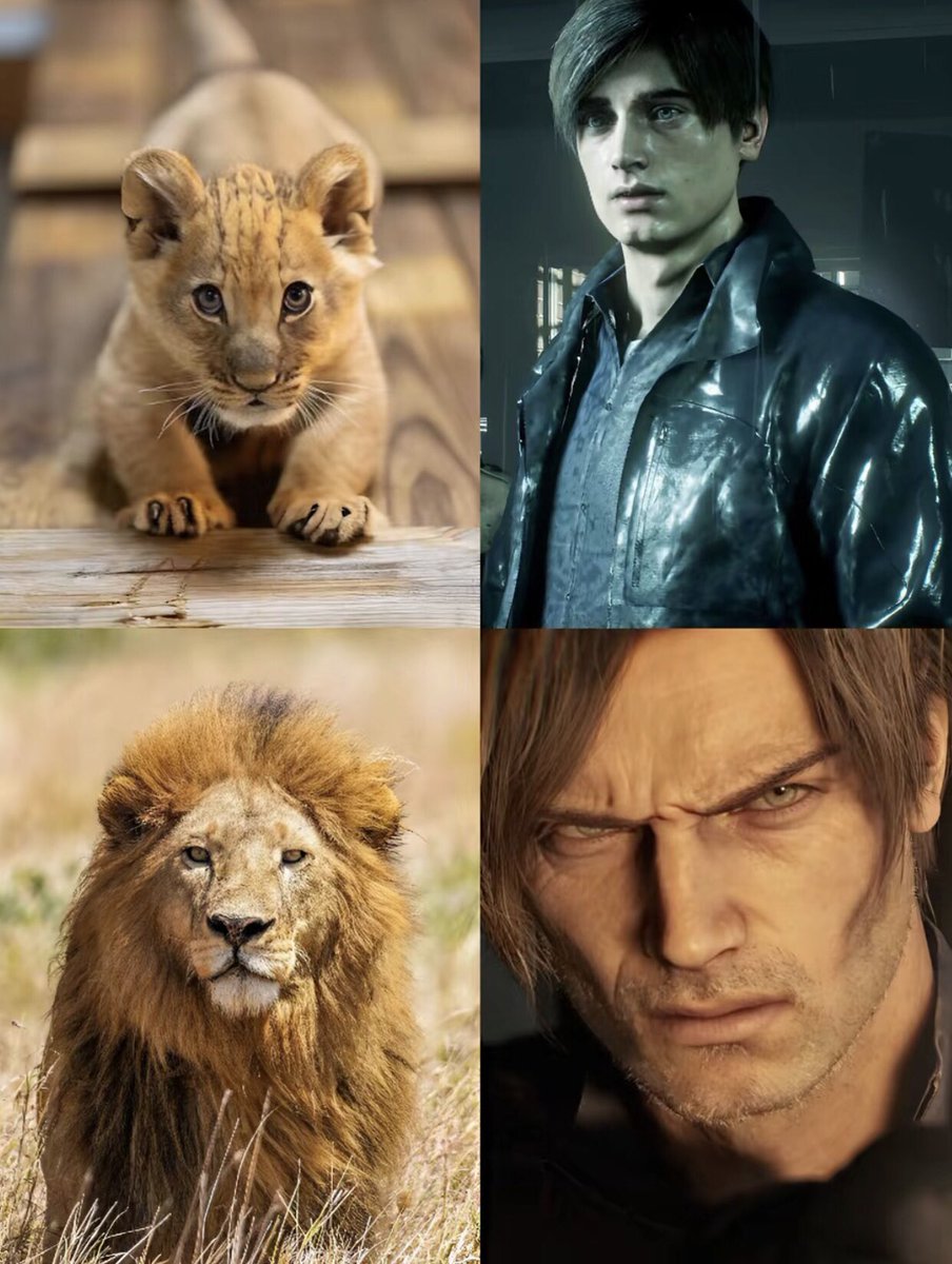 Sarah x OP tweet media