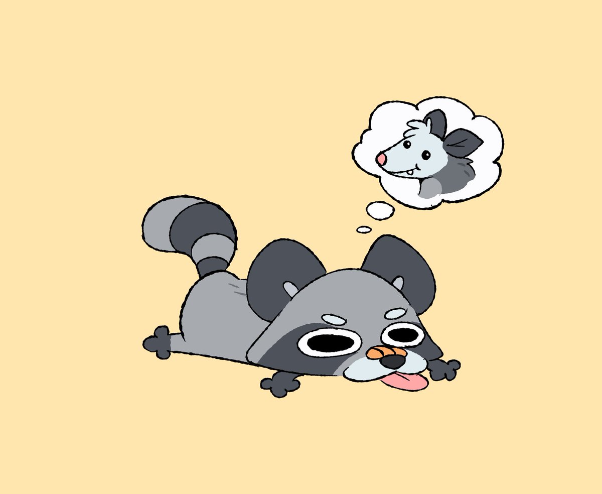 HappyRaccoons tweet media