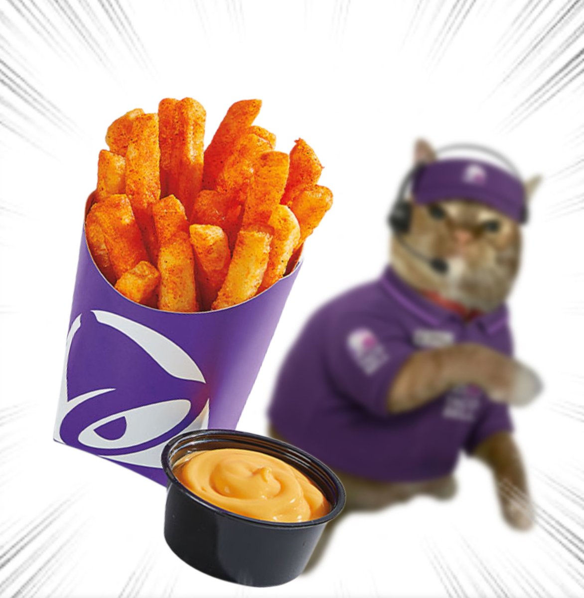 Throwing Things Daily tweet media