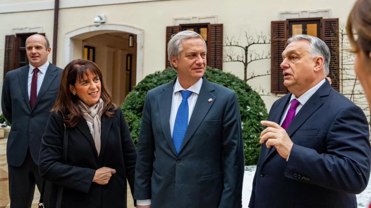 Valeria Cárcamo Vidal tweet media