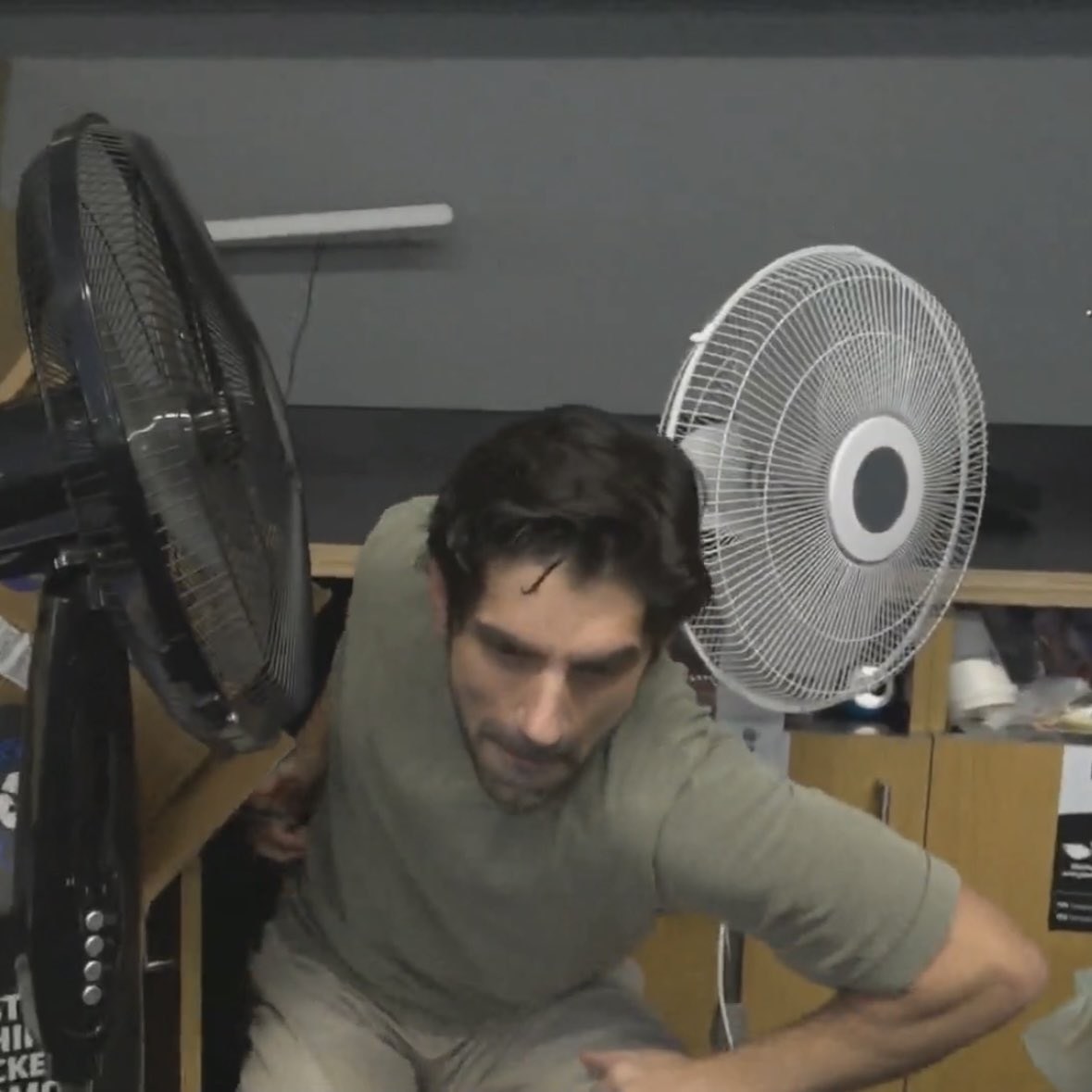 char 🚦 tweet media