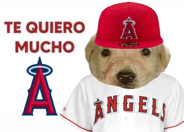 AngelsFaithful's tweet image. 