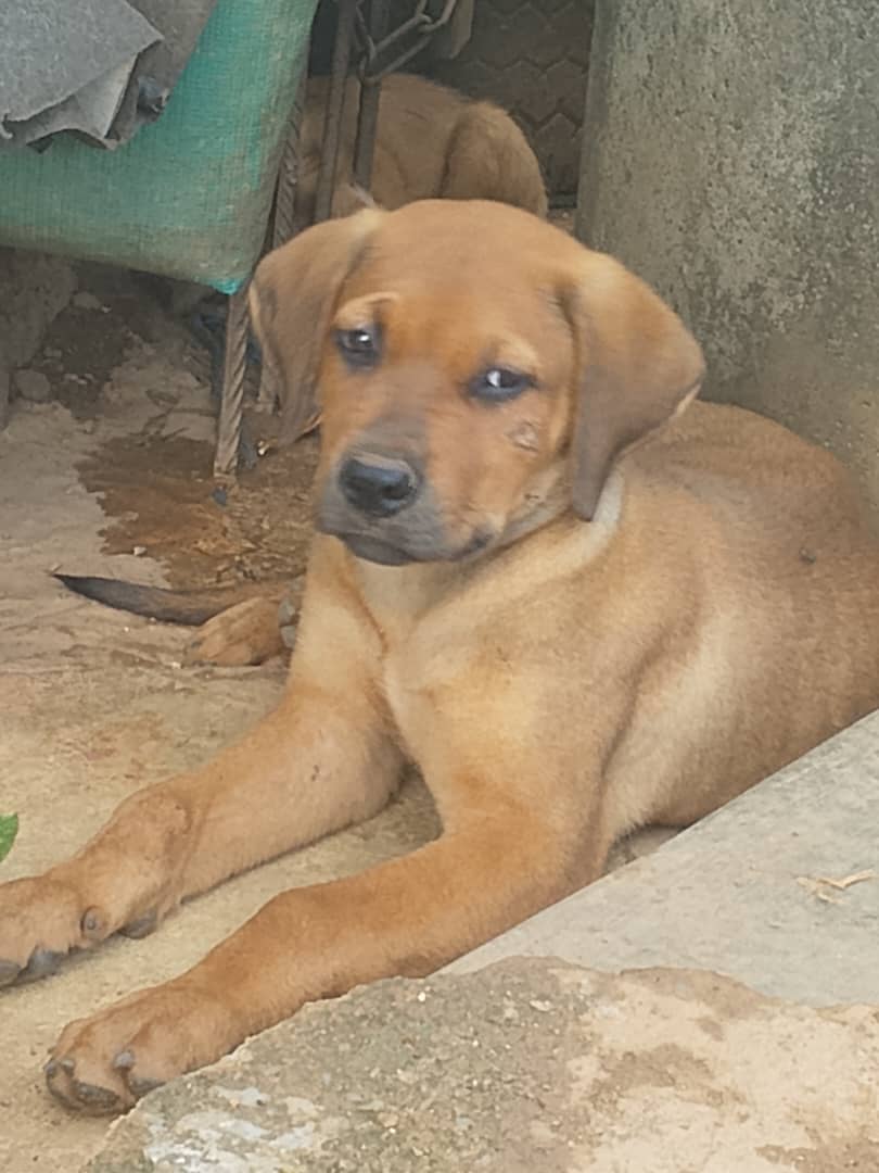 OLAMILEKAN 💙 ❤ tweet media