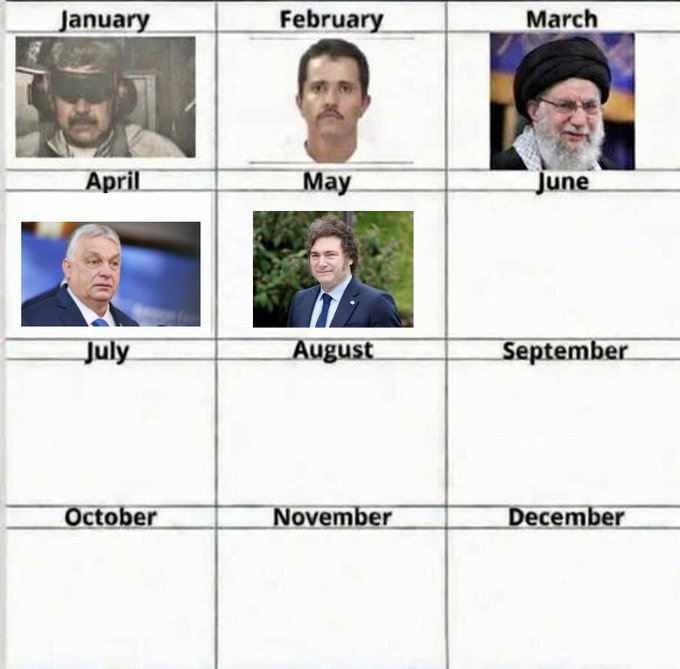 MonsieuRabbit tweet media