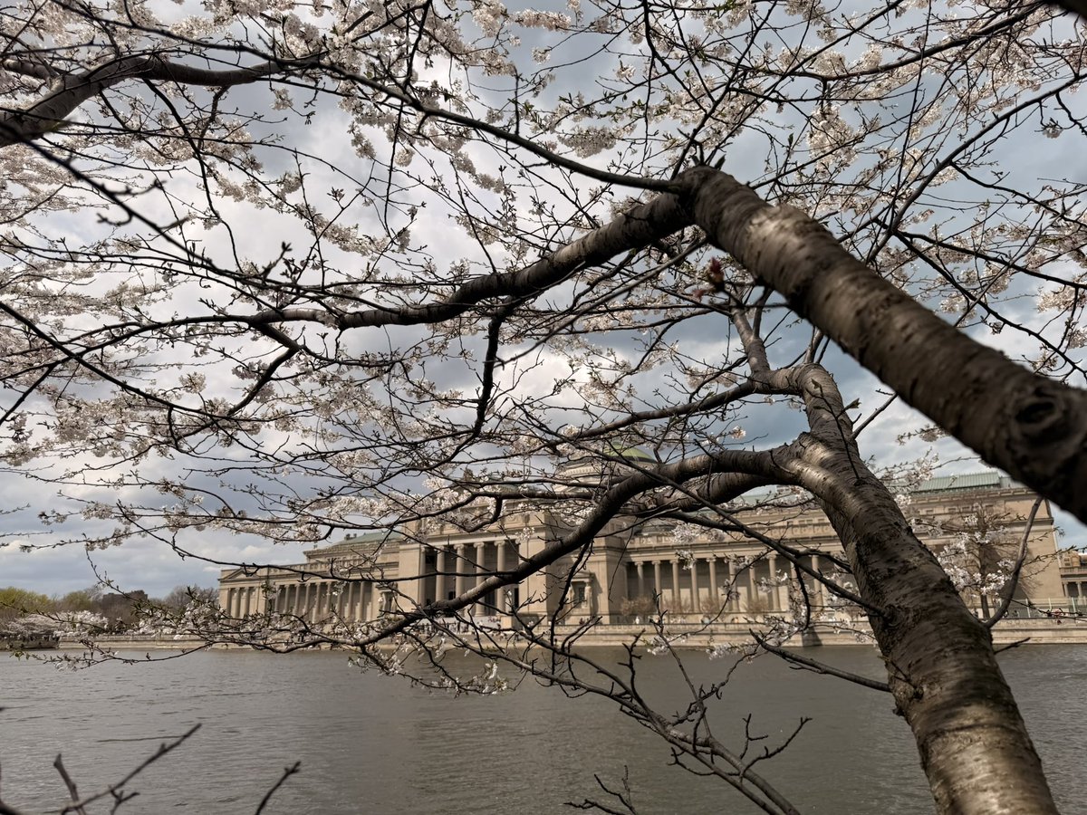 Juliana Stratton tweet media