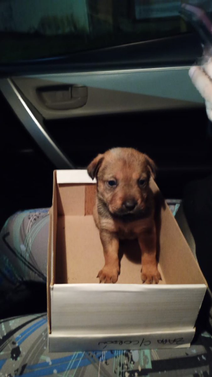 Pa Cas🤜🤛 tweet media