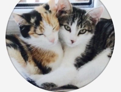 Embren302 tweet media