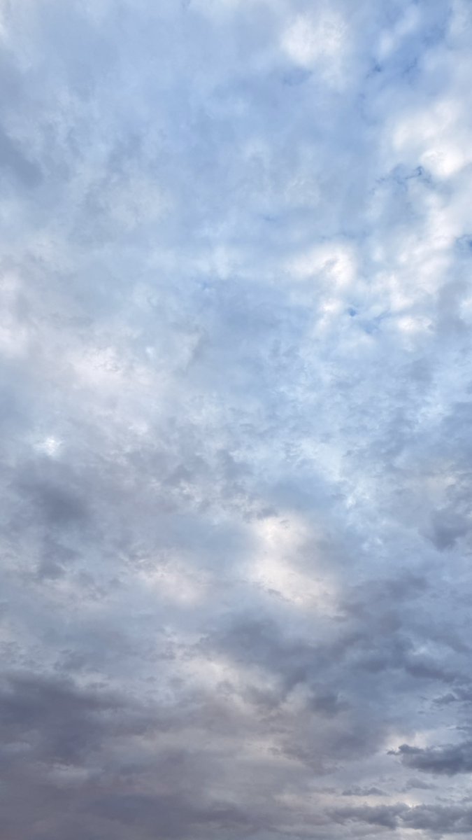 なんかの工事監督 tweet media