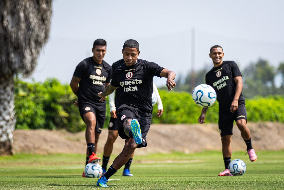 Gustavo Peralta Coello tweet media