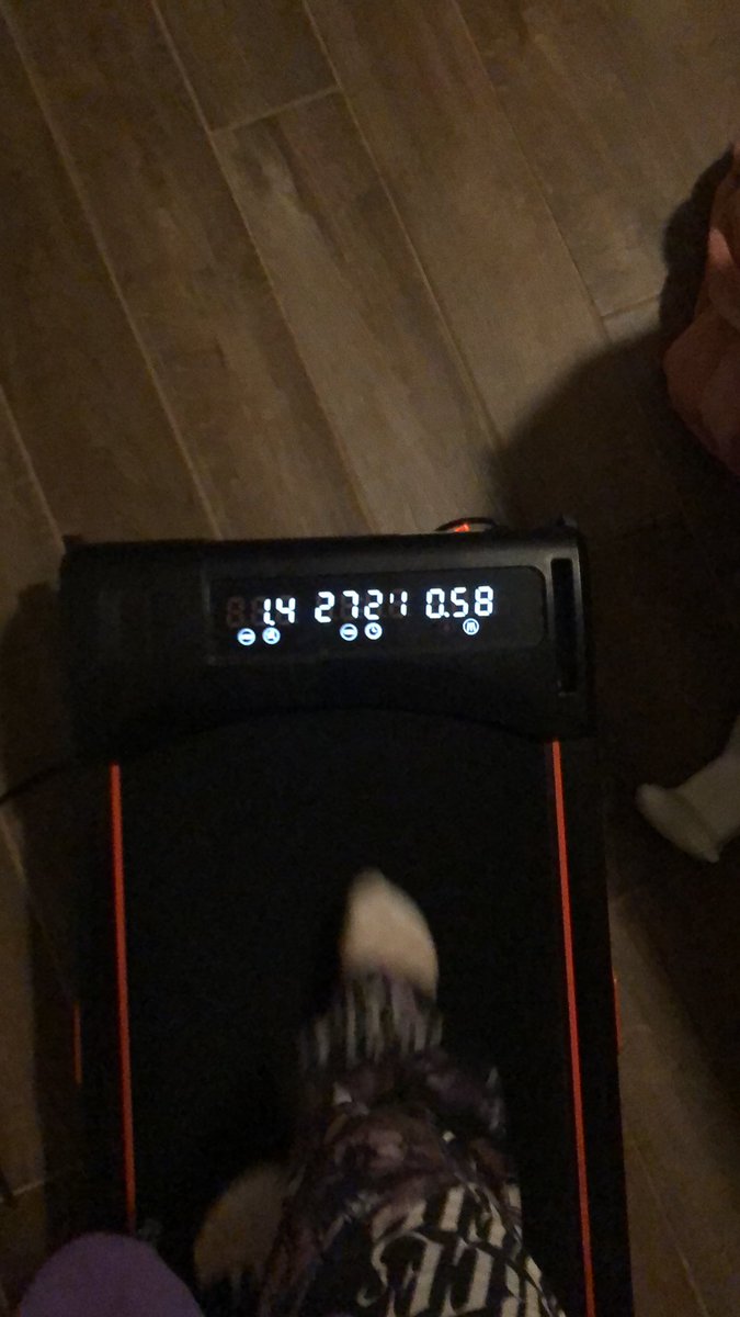 Rockk1tten tweet media