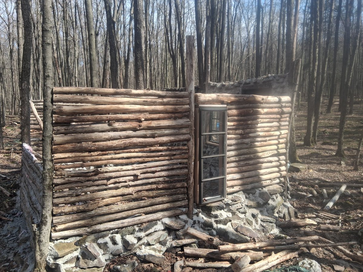 Steven Cambian tweet media