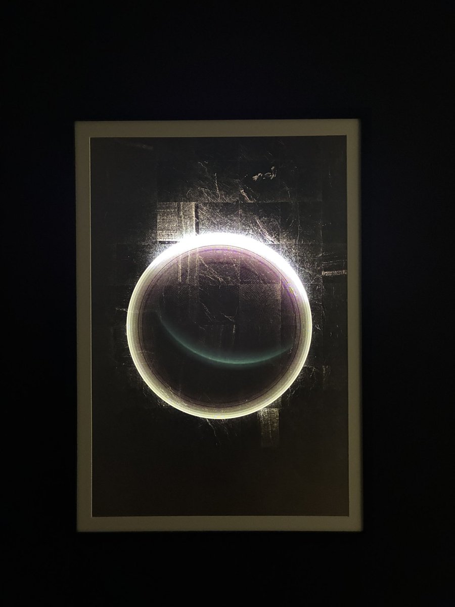 中澤友作 Nakazawa Yusaku tweet media