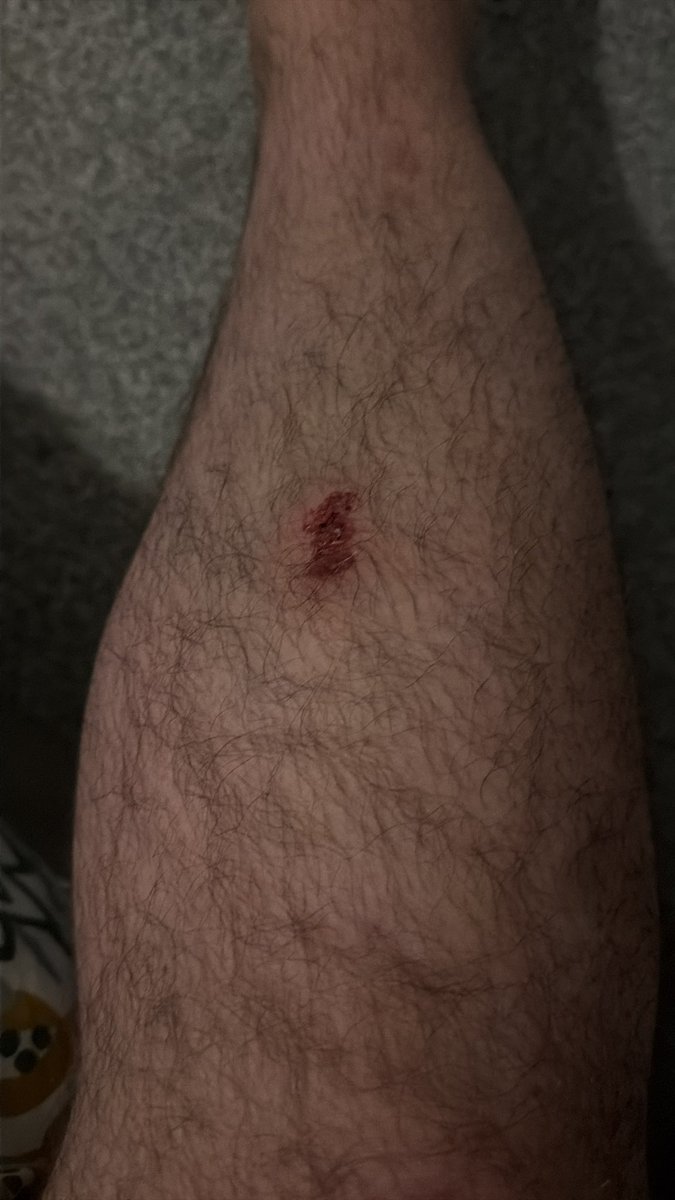 Mark Lambourne tweet media