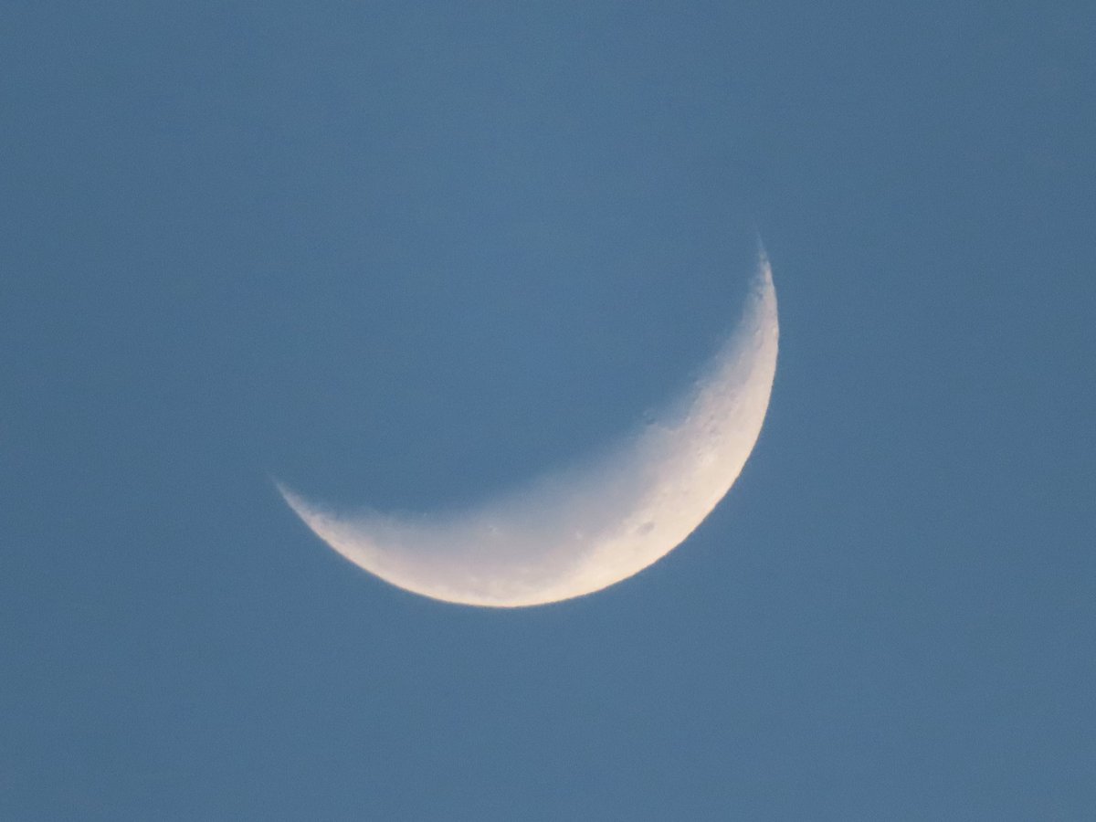 wapple15's tweet image. Good morning #Canberra ☀️🌒