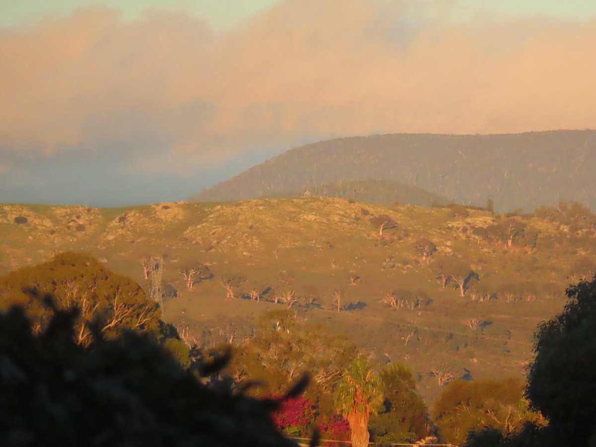 wapple15's tweet image. Good morning #Canberra ☀️🌒