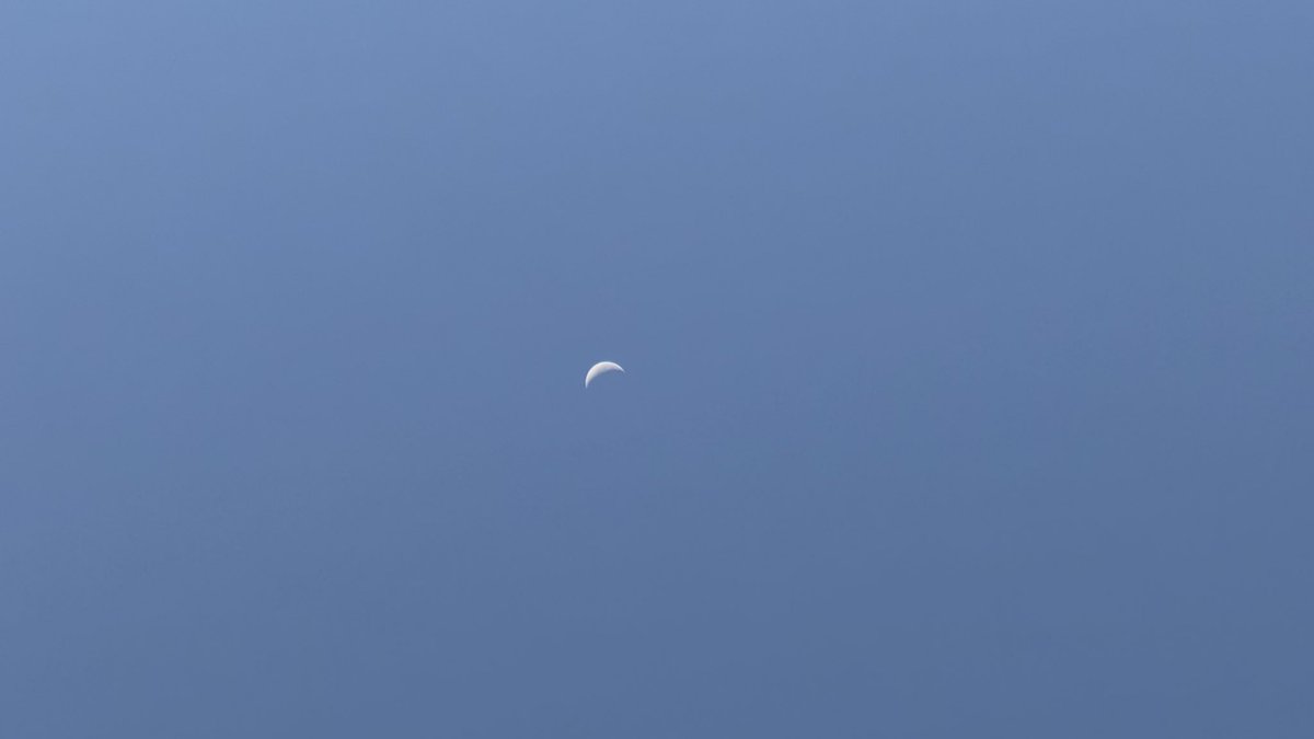 wapple15's tweet image. Good morning #Canberra ☀️🌒