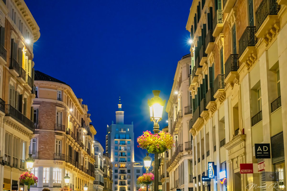 Zappa ۞ tweet media