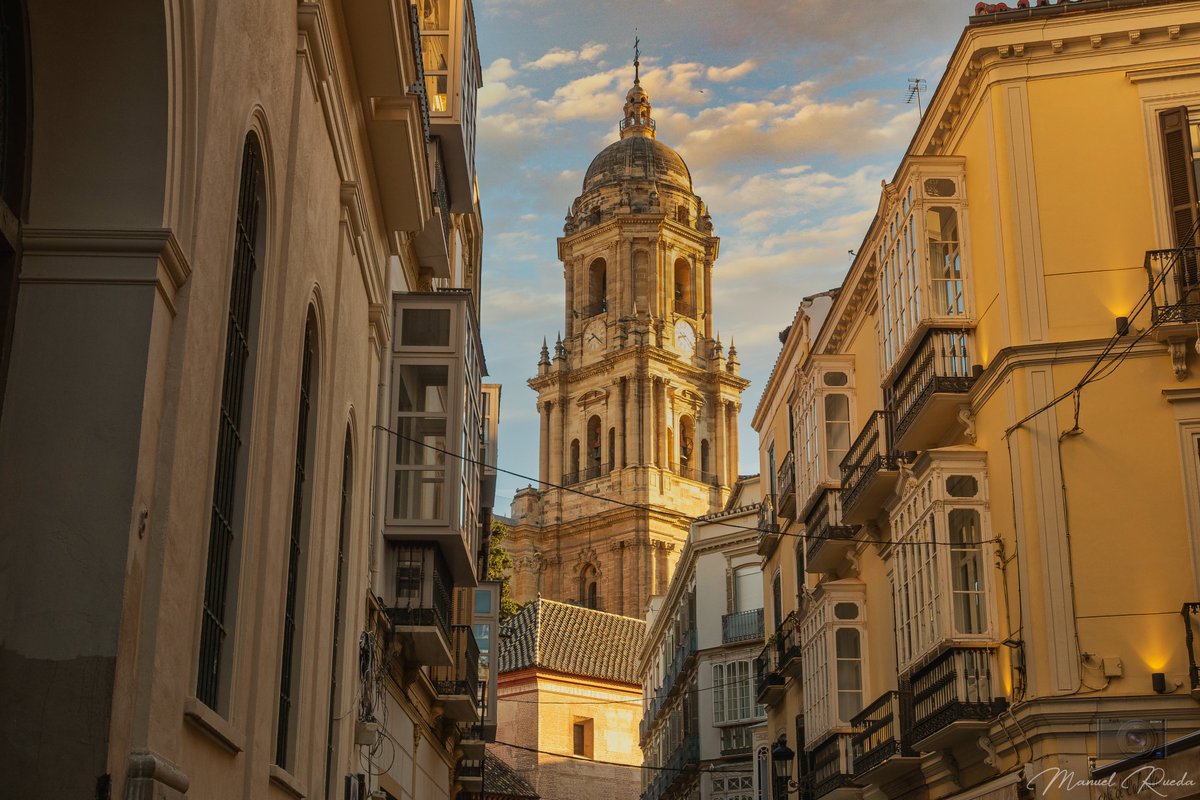 Zappa ۞ tweet media