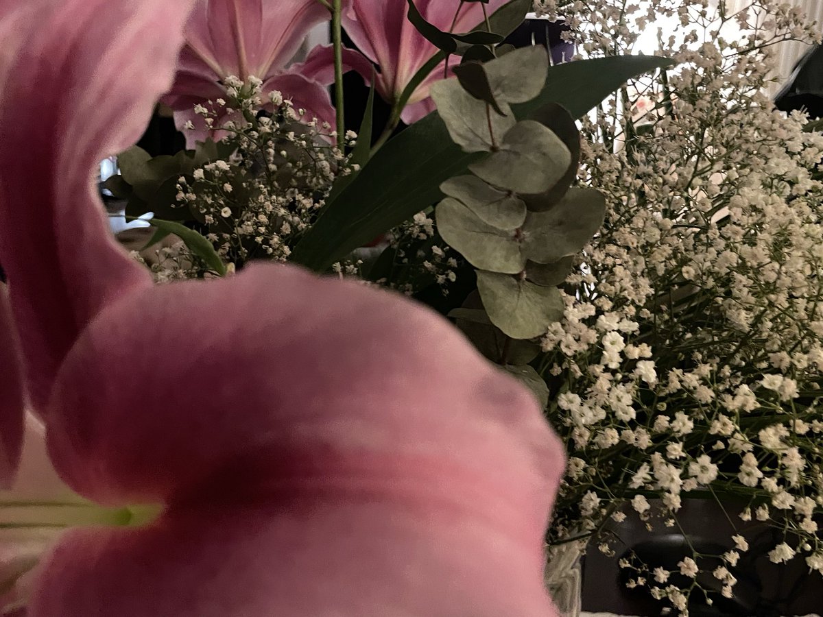 ˚₊· 🩹 tweet media