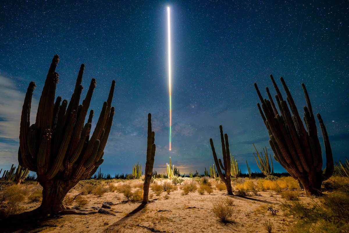 GGerardox2's tweet photo. Aliens vs Cardones 🌵👽 https://t.co/ZqRfQESm6t