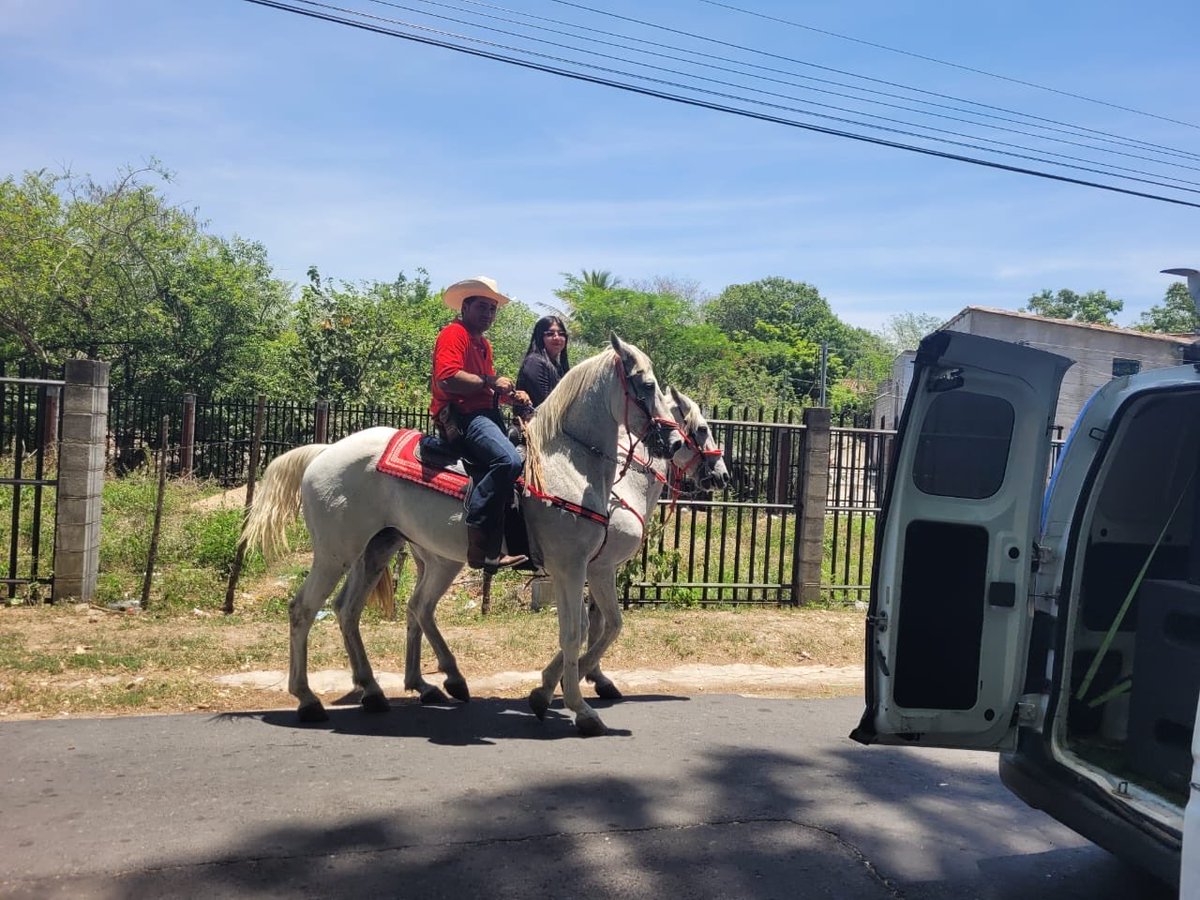 Reynaldo Cardoza tweet media